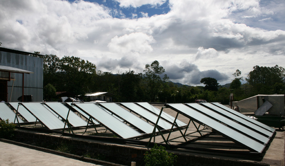 solar dried coffee drying