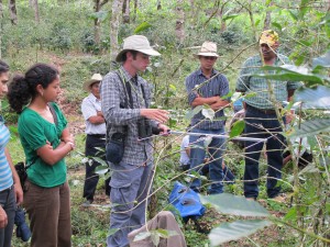 UMass and UNAH students (Brett Bailey and Fabiola Rodriguez) teamed in the field for habitat surveys at coffee sites with Cooperative COMISUYL