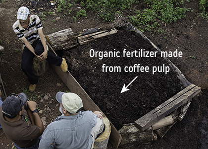 fertilizer-coffee-farms