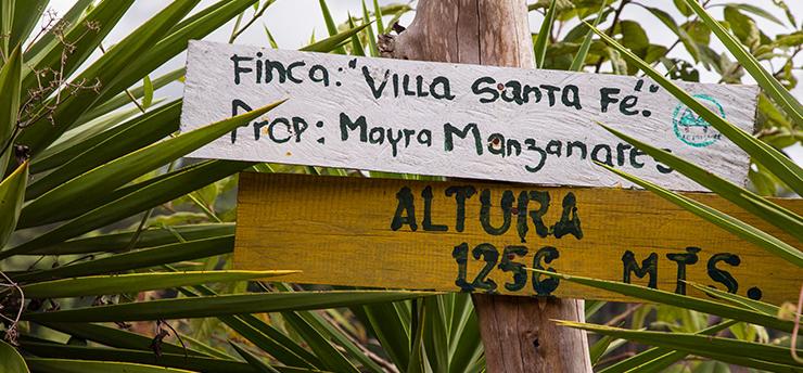 high altitude coffee farm